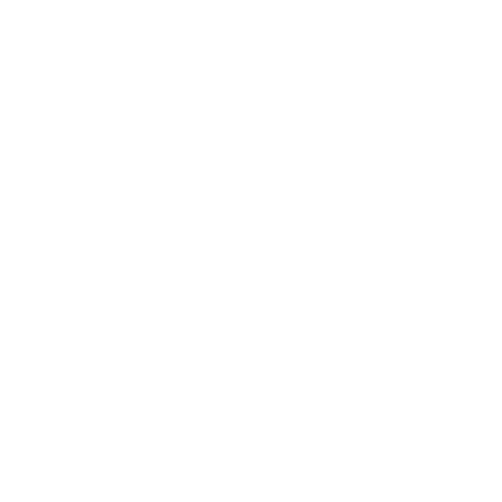 Ravisa