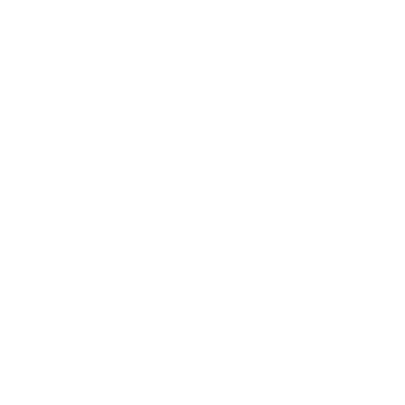Grupo cargoquin